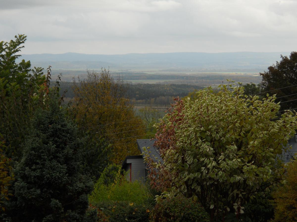 Hotel Garni Schloss Schoenberg Bad Brambach Exteriör bild